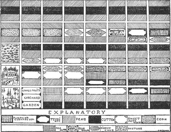 Plan of planting